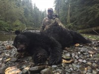 Black Bear - Black Bear 2016 - 3